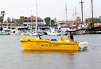 Jon Peach's Boat for hotel guests