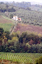 Tuscany Country Side Viewed from Il Borgo