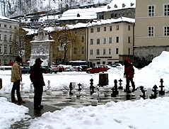 Salzburg Chess Board
