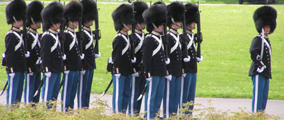 The Royal Danish Guards