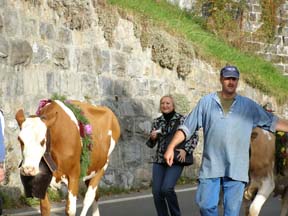 Interlaken, Switzerland - Beatenberg - Debra C Argen  running with the cows