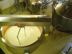 Bern, Switzerland - Emmental Exhibition Cheese Dairy 