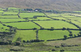 Patchwork views from Kerry, Ireland