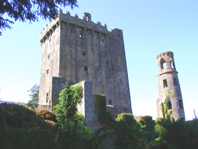 County Cork & County Wexford, Ireland - Blarney Castle