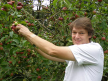 Chef John Kostuik Picking Apples
