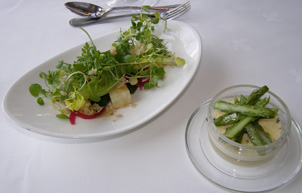Asparagus Brulee and Mixed Herb Salad