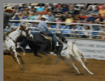 Mesquite Rodeo - Mesquite, Texas - photo by Luxury Experience