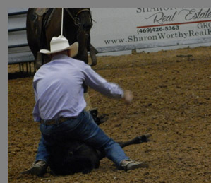 Tie Down Roping - Mesquite Rodeo - Mesquite, Texas - photo by Luxury Experience