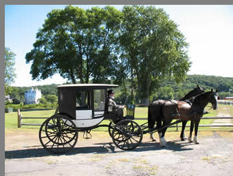 Cinderella Carriage Ride - Allegra Farms