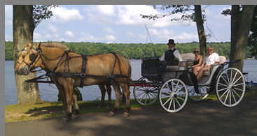 Carriage Ride - Allegra Farm - photo by Luxury Experience