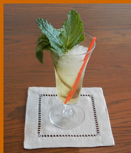 Luxury Experience - Mint Julep - photo by Luxury Experience