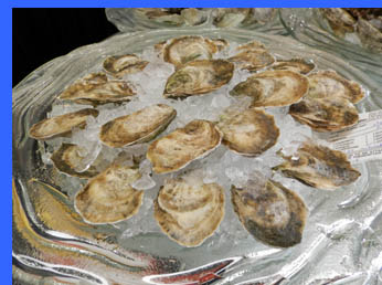 Raw Oysters  - photo by Luxury Experience