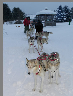 Dogsledding in Stowe, VT - photo by Luxury Experience 
