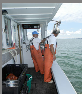 Hauling lobster trap in Boston Harbor - Photo by Luxury Experience