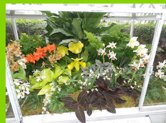 Mini Greenhouse - New York Botanical Garden - NY - photo by Luxury Experience