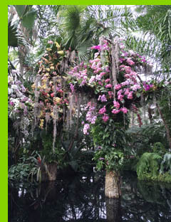 Tropical Garden - New York Botanical Garden - NY - photo by Luxury Experience