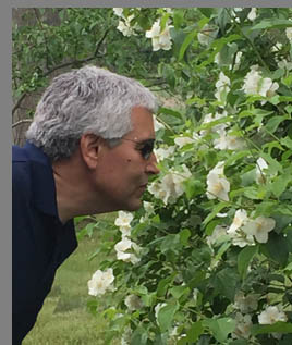 Edward F. Nesta - smelling the roses - Florence Griswold Museum - Old Lyme, CT, USA - photo by Luxury Experience