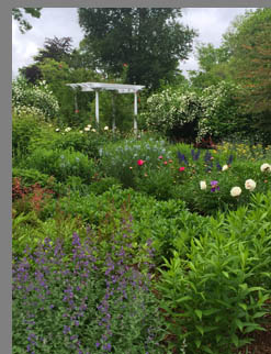Gardens - Florence Griswold Museum - Old Lyme, CT, USA - photo by Luxury Experience