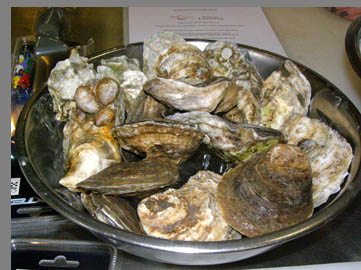 oysters - Chef Kerry Hefferman - NYCE - photo by Luxury Experience