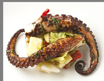 Grilled Octopus - TBar Steak & Lounge - NYC