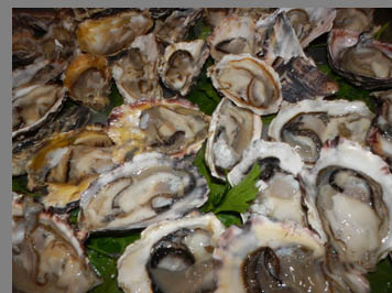 Docks Oyster Bar and Seafood - Oyster Festival - photo by Luxury Experience