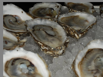 Oysters - Docks Oyster Bar and Seafood Grill - NY, NY, - photo by Luxury Experience