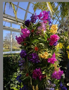 Tower of Colorful Orchds - New York Botanical Gardesn - photo by Luxury Experience