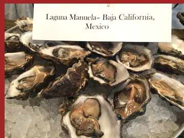 Docks Oyster Bar and Seafood Bar - Laguana Manuela Oysters - Photo by Luxury Experience
