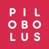 Pilobolus Dancers