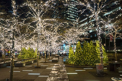 Tis The Season New York - by Betsy Pinnover Schiff