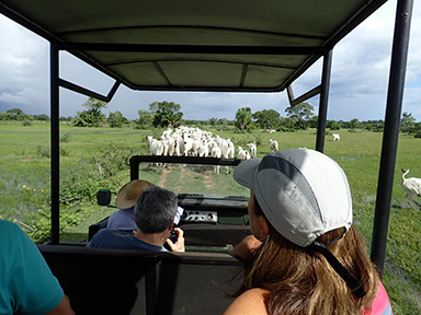 Safari Pequi Mato Grosso do Sul, Brazil - photo by Luxury Experience