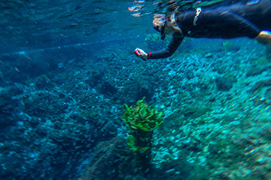 Debra C. Argen underwater photographer - Nascente Azul - Boniti, Mato Grosso do Sul, Brazil - photo by Luxury Experience