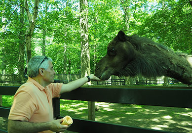 Edward F. Nesta & Max the Dromedary Camel - The Zoo in Forest Park - photo by Luxury Experience