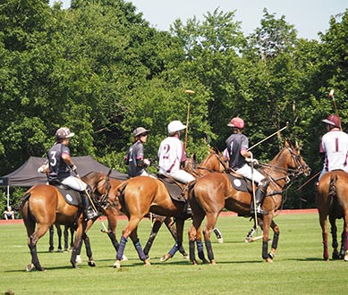 Polo Action - Greenwich Polo  - USPA Monty Waterbury 2019 - photo by Luxury Experience
