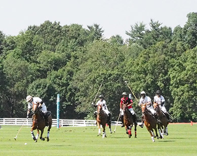 polo action - Greenwich Polo  - USPA Monty Waterbury 2019 - photo by Luxury Experience