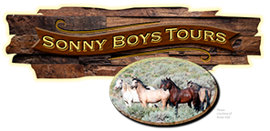 Sonny Boys Tours - Reno, Nevada