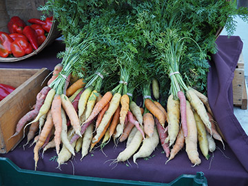 Concord NH Famers Market - Concord, NH - photo by Luxury Experience