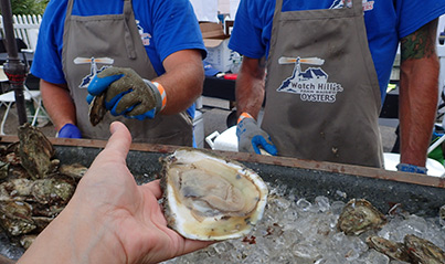 Jumbo Lumbo - Watch Hill Oysters - USA Today Network Wine and Food - photo by Luxury Experience