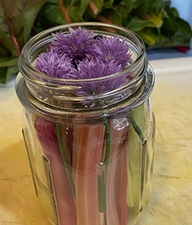 Rainbow Chard stems pickling - photo by Luxury Experience