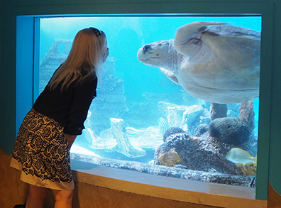 Debra C. Argen and Sea Turtle  - The Maritime Aquarium at Norwalk, CT - photo by Luxury Experience