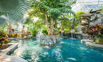 Biosphere Pool Complex - Crystal Springs Resort