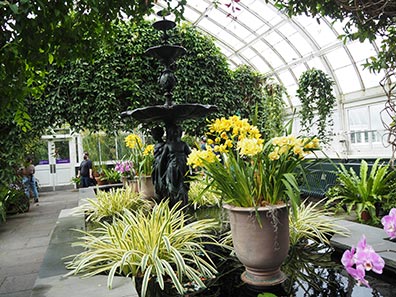 New York Botanical Gardens - Orchid Show 2022 - photo by Luxury Experience