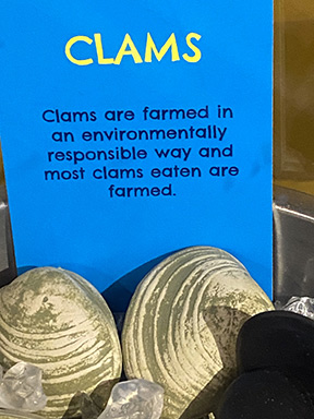 The Maritime Aquarium at Norwalk, CT - Clams Sign - photo by Luxury Experience