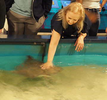 The Maritime Aquarium at Norwalk, CT - Debra C. Argen touching a ray - photo by Luxury Experience