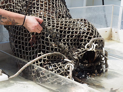 Maritime Life Encounter Cruise - The Trawl Net Catch - photo by Luxury Experience
