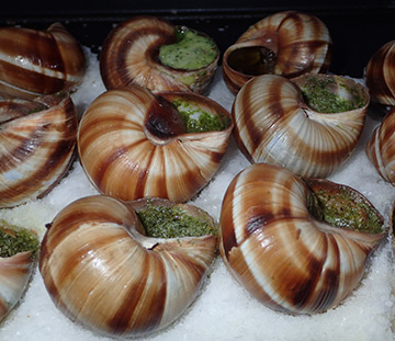 Escargot - NYCWFF22 - photo by Luxury Experience