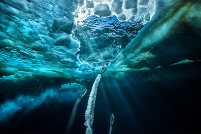 Propulsion - by Cristina Mittermeier and Paul Nicklen