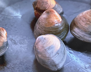 Clams for Palomino Paella - photo by Luxury Experience