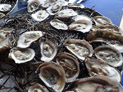 Eastchester Fish Gourmet - raw oysters - Photo by Luxury Experience