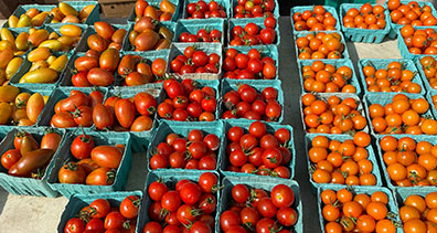 Greenwich Farmers Market - Greenwich, CT USA - photo by Luxury Experience